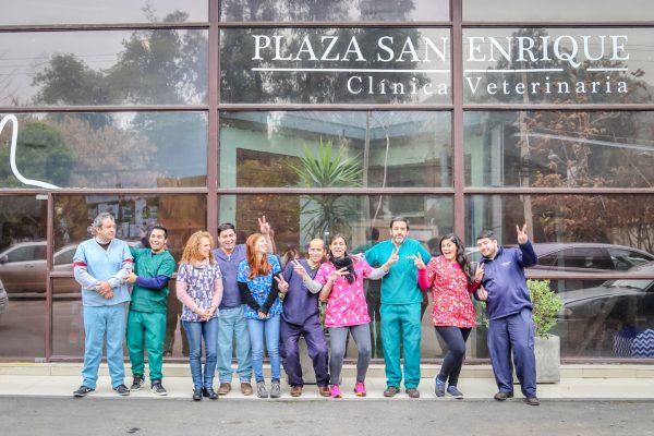 Clinica-veterinaria-plaza-san-enrique-91